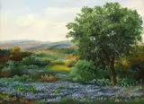 Lillian Breshears, Hill Country Spring Landscape, oil on canvas
