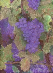 Glenn Whitehead, Grapevines, pastel drawing on paper