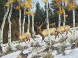 Bill [William] Edward Freeman, Deer and Aspens, oil on canvas