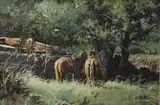 James Boren, A Shady Spot