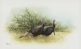 Bob Guelich, Wild Turkeys, watercolor and gouache painting on artist's board