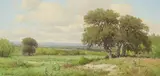 Porfirio Salinas, Texas Landscape with Live Oaks and Wildflowers