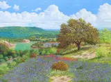 Manuel Garza, Bluebonnets, oil on canvas