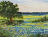 Judy Copeland, Field of Bluebonnets