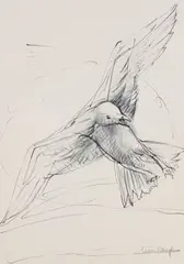 Charles Umlauf, Bird in Flight, charcoal and oil pastel drawing on Raffaello Fabriano paper