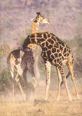 Joshua Spies, Attitude Adjustment, giclee on canvas