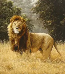 Simon Combes, Simba, giclee print on canvas