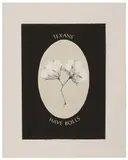 Malinda Beeman, Texas Week Print, screenprint on black paper