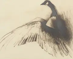 Sandy Scott, Canada Rising, etching on paper