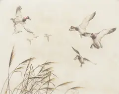 Sandy Scott, Grassy Bay (Canvasbacks), etching on paper