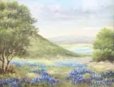 Inez Broussard Roebuck, Bluebonnets & Hill Country, oil painting on board