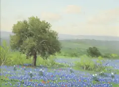 Porfirio Salinas, Bluebonnets and Live Oaks, oil painting on canvas