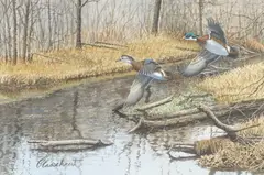 Richard W. Plasschaert, Wood Ducks in Flight, watercolor and gouache painting on paper