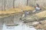 Richard W. Plasschaert, Wood Ducks in Flight, watercolor and gouache painting on paper