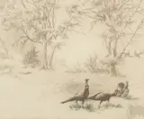 Sandy Scott, At the Roost, etching on paper