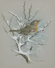 Basil Rashley Ede, Robin Perched on Snowy Branch, watercolor and gouache