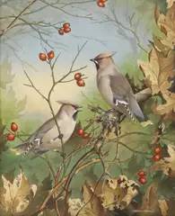 Basil Rashley Ede, Cedar Waxwings, watercolor and gouache painting on paper