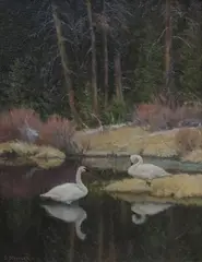 Lee Stroncek, Stillwater, Darkwater (Trumpeter Swans in Early Spring), oil on board