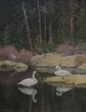 Lee Stroncek, Stillwater, Darkwater (Trumpeter Swans in Early Spring), oil on board