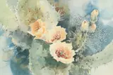 Mitzi Klassen, Cactus, watercolor painting on paper