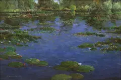 Thomas de Decker, Water Lilies, oil on canvas