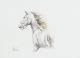 Spencer Hodge, The Stallion, watercolor painting on paper