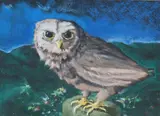 Owl Perched on a Rock by Kelly Fearing, pastel drawing on black paper, offered Mar 2024