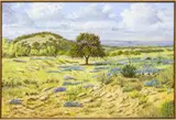 Charles N. Pruitt, Bluebonnets, oil on canvas