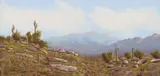 Jan Dunn, Desert Landscape, acrylic on canvas