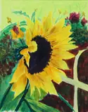 Judy Copeland, sunflower