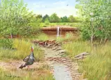 Manuel Garza, Turkey and Waterfall, oil on canvas