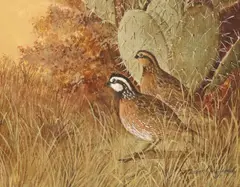 Bobwhite Quails and Cactus by Robert Quill Johnson, oil on canvas board, offered Jan 2024