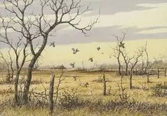 David Drinkard, Quails in Flight, watercolor painting on paper