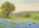 Porfirio Salinas, Bluebonnet Meadows