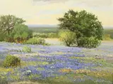 Jerry Jordan, Hill Country Landscape with Bluebonnets, oil on canvas