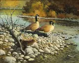 Terry Swanton Bateman, Honkers, oil on art board