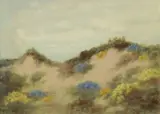 Charles Dorman Robinson, Northern California Sand Dunes and Wildflowers