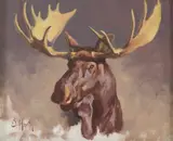 Dwayne Harty, Bull Moose Head, oil on canvas