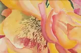 Judy Copeland, Yellow Cactus Flower