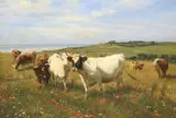 Henry William Banks Davis, Cattle on the Coast, oil on canvas