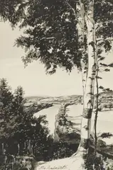 Roy Andersen, River Landscape with Birch Tree, ink and ink wash on paper