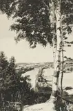 Roy Andersen, River Landscape with Birch Tree, ink and ink wash on paper