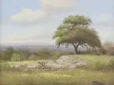 C.P. Montague, Hill Country Landscape with Live Oak and Cactus, oil on canvas