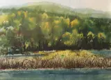 Michael Frary, Marsh Landscape