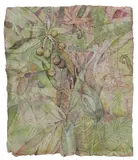 Priscilla Robinson, Loquat, Mixed media painting on handmade paper laid down on board