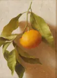 Caroline Nelson, Mandarin Study, oil on panel