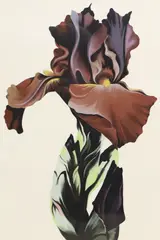 Burgundy Iris by Lowell Nesbitt, serigraph (screenprint) on paper, sold Aug 2023