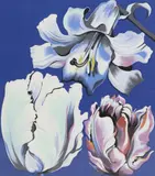 Lowell Blair Nesbitt, Three Flowers on Blue, serigraph (screenprint) on paper