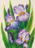 Judy Copeland, Purple Irises