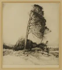 John G. Mathieson, Windswept Pine Trees, drypoint etching on paper